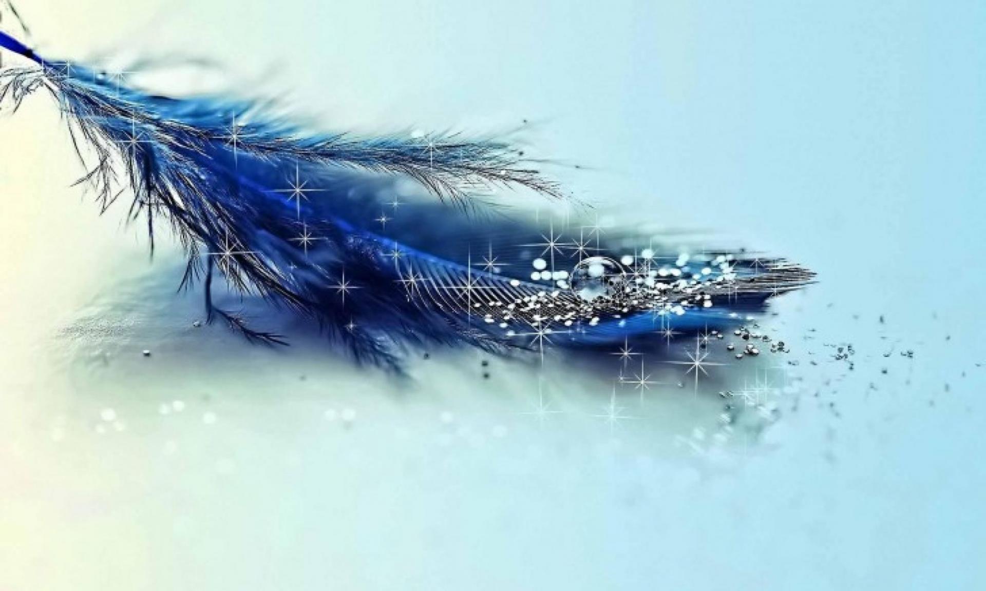 Cropped plume